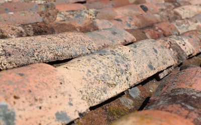 2022, Is It Time to Replace New Roof?