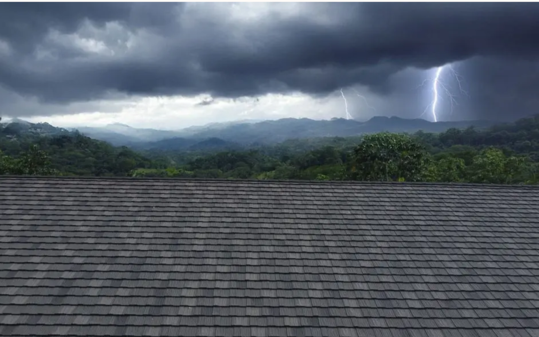 Roof Care Tips for Every Season