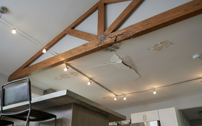 Why Ceiling Stains Are the First Sign of Roof Damage